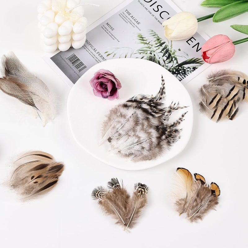 Daieeparty 180pcs Small Pheasant Feathers 6 Style Mixed Feathers Natural Feathers for Crafting Wedding Dream Catcher Hats Decoration - Image 5